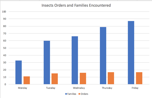 Diversity of insects discovered at Sun Foundation during the week.