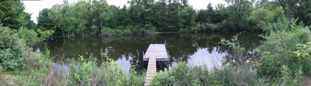 Panaromic view of main pond by our tent.