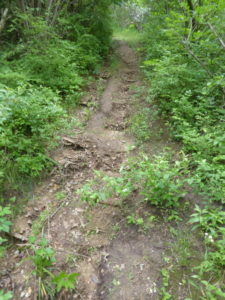 Steep and muddy trail near the top of the hill. 