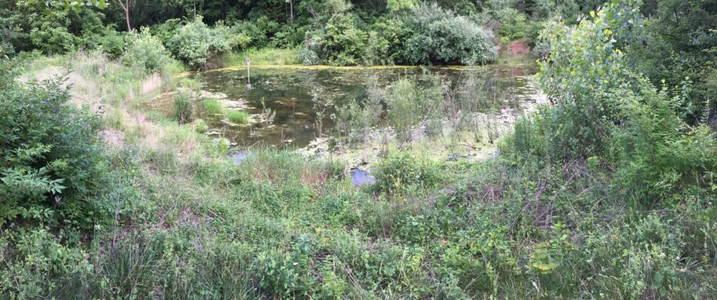 Panorimic view of smaller pond